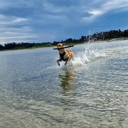 10 Person In Hadsund-by Traum