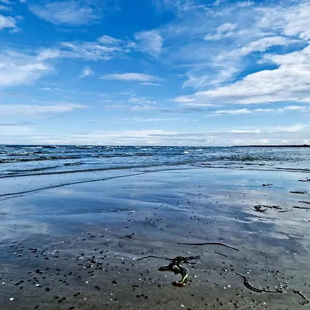 Vakantiehuis 10 Person In Hadsund-by Traum